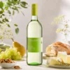2025 Riesling trocken mit Käse und Brot Sternenfelserhof Weingut Kopp