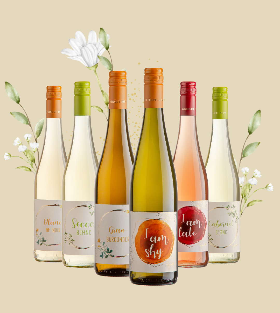 Frühlingspaket I vom Weingut Kopp
