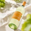 2024 Müller-Thurgau lieblich vom Weingut Kopp, Detailbild