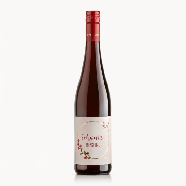 2024 Schwarzriesling feinherb vom Weingut Kopp, Packshot