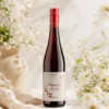 2024 Schwarzriesling feinherb vom Weingut Kopp, Stimmungsbild