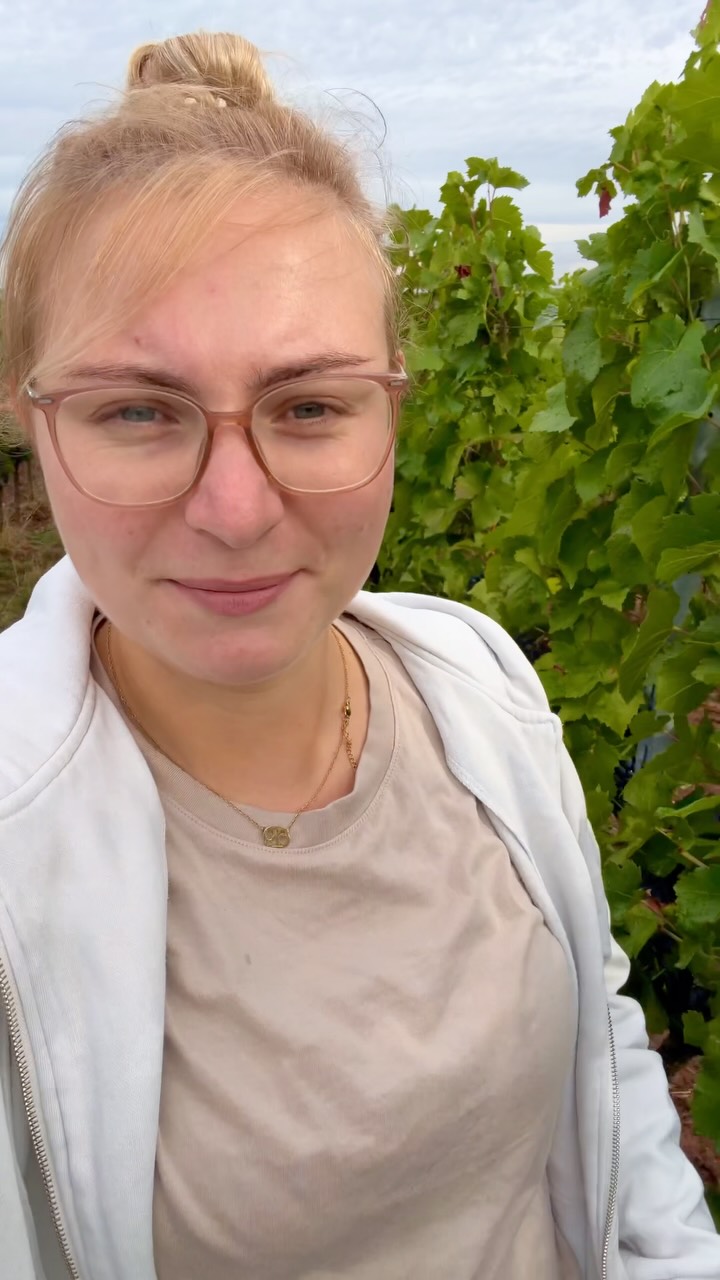 Trauben-Check im Weinberg 😍